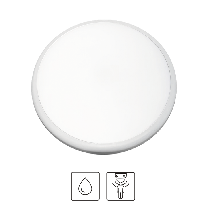 HUBLOT PARIS AVEC DÉTECTEUR 22W 4000K 2000LM IP65 Ø300X53MM