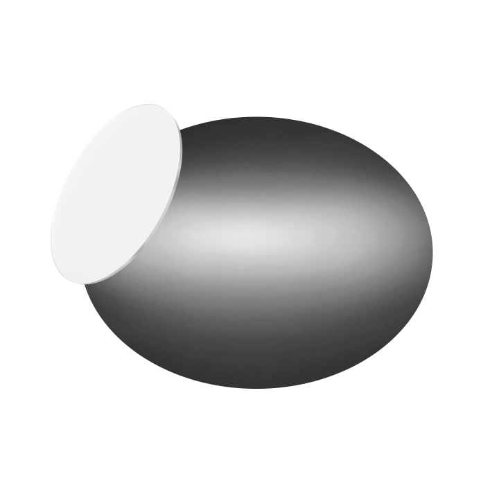 LENTILLE OVALE POUR PROJECTEUR D55 